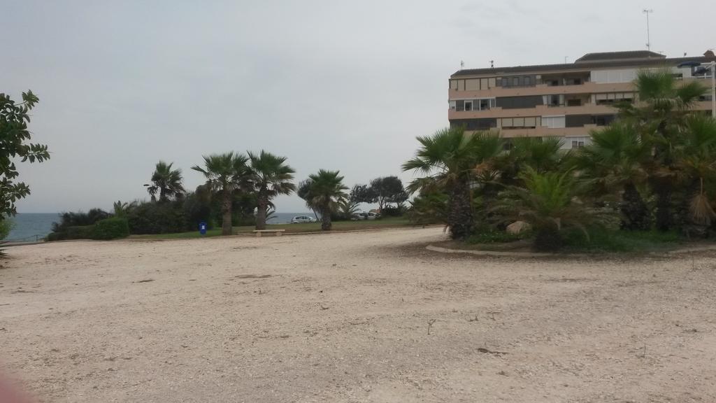 Apartment Parquemar La Mata  Szoba fotó